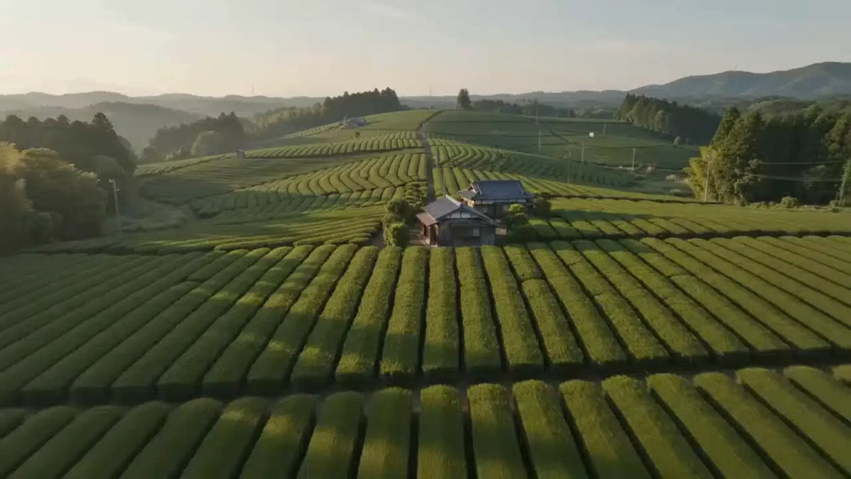 One farm. One harvest. Better mornings.