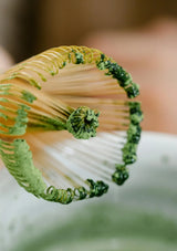 matcha tea powder